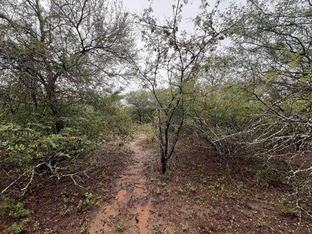 2 180 m² Land available in Marloth Park