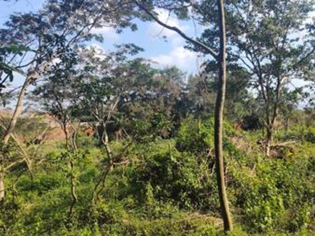 2 187 m² Land available in Seaton Estate