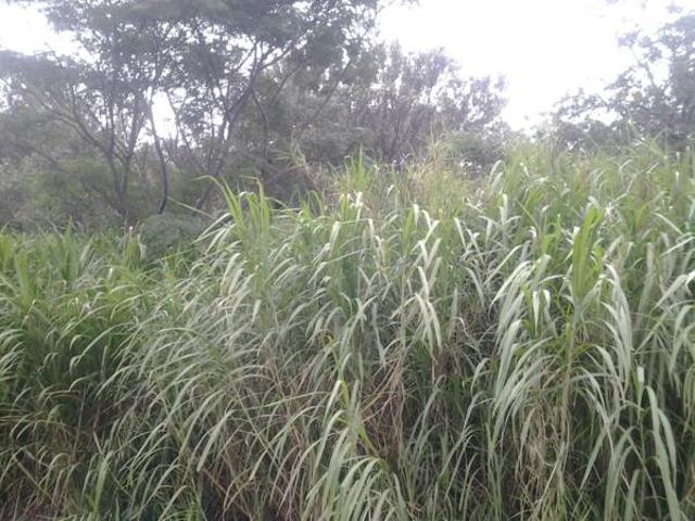 2 190 m² Land available in Umtentweni