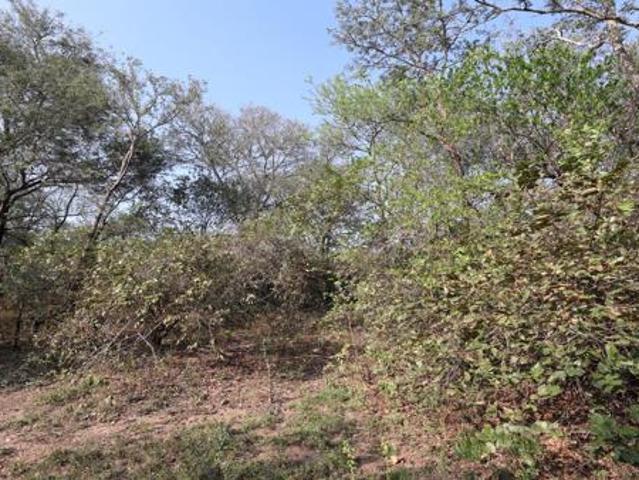 2 100 m² Land available in Marloth Park