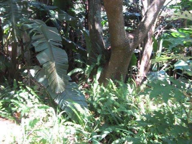 2 101 m² Land available in Southbroom