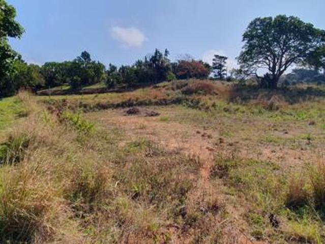 2 104 m² Land available in Palm Beach