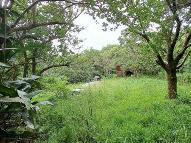 2 115 m² Land available in Hibberdene