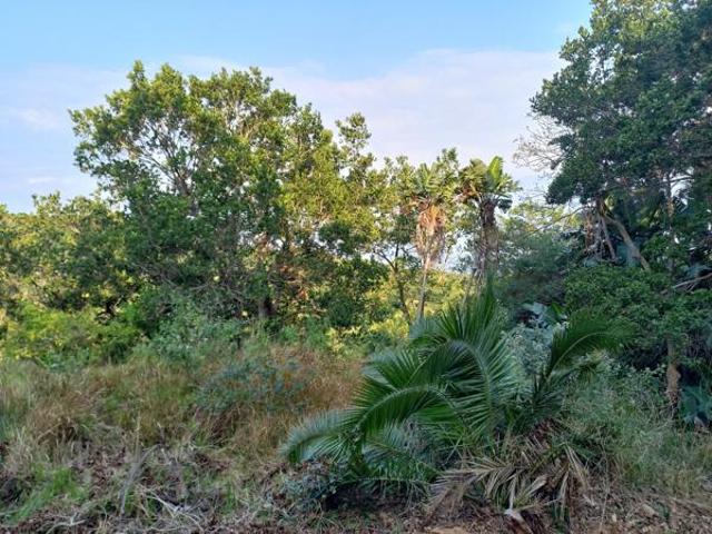 2 120 m² Land available in Woodgrange