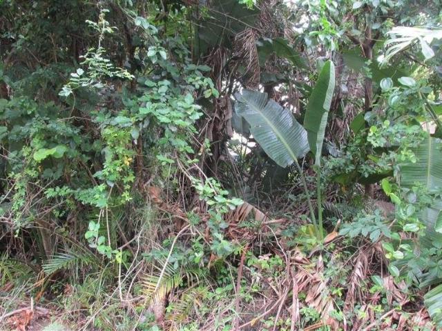 2 129 m² Land available in Southbroom