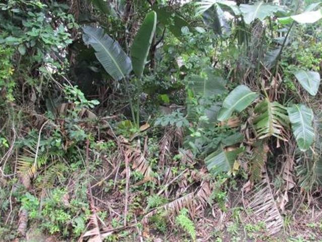 2 129 m² Land available in Southbroom