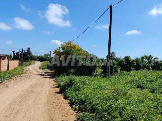 2,1 ha – 8 km de Benslimane – Calme & Sérénité