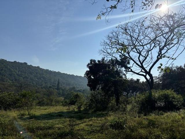 2.1 ha Land available in Tzaneen