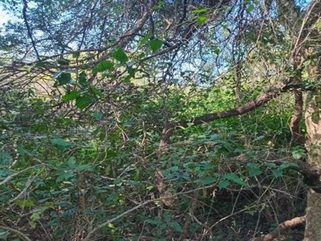 2 243 m² Land available in Marloth Park