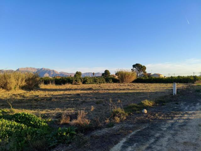 2.255 m2 Terreno en Alquerías Oportunidad Única