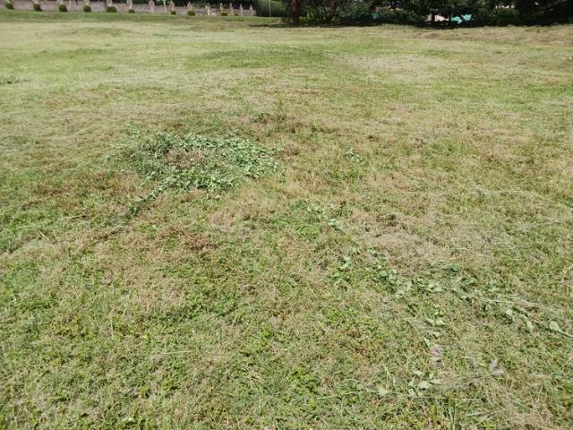 2.25 acres for sale in New Kitisuru