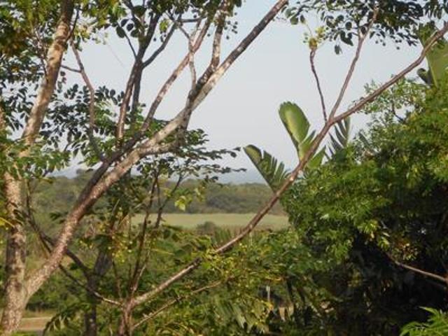 2 267 m² Land available in Palm Beach