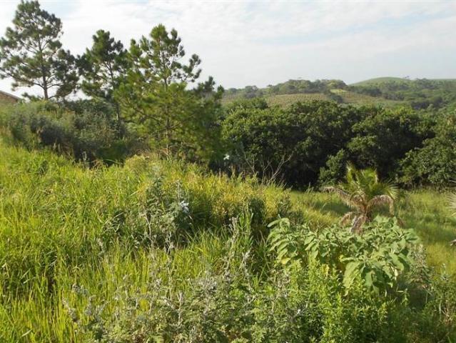 2 267 m² Land available in Palm Beach