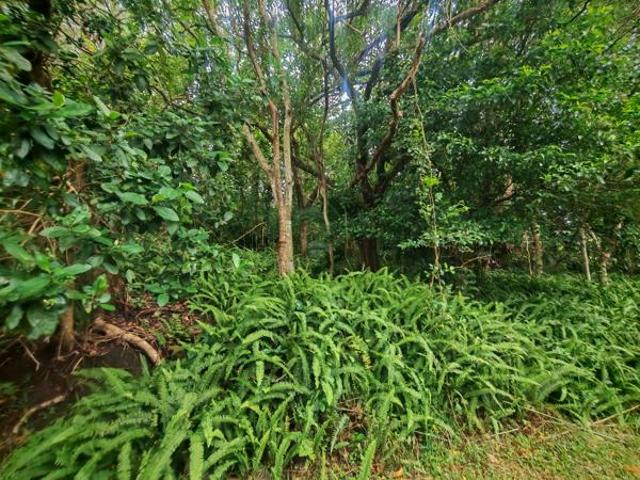 2 276 m² Land available in Southbroom