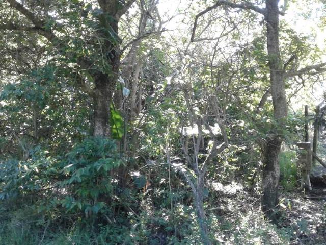 2 276 m² Land available in Southbroom