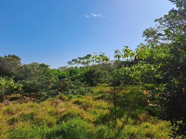 2 293 m² Land available in Port Edward