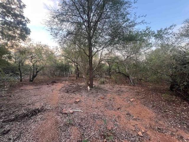 2 200 m² Land available in Marloth Park