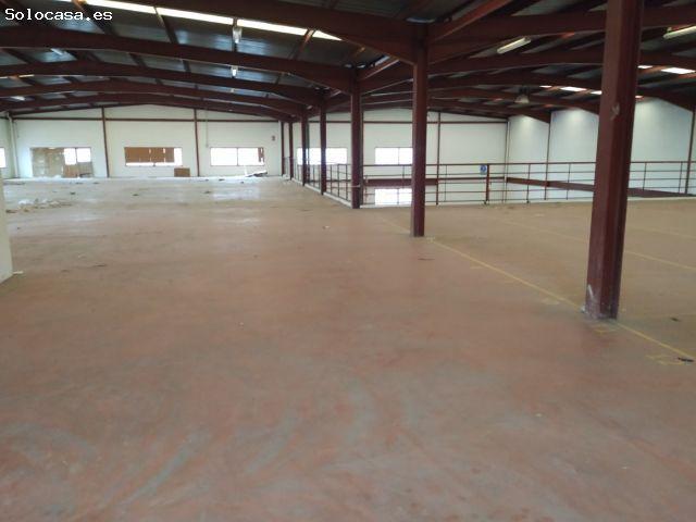 2.227 M2 ELCHE PARQUE EMPRESARIAL