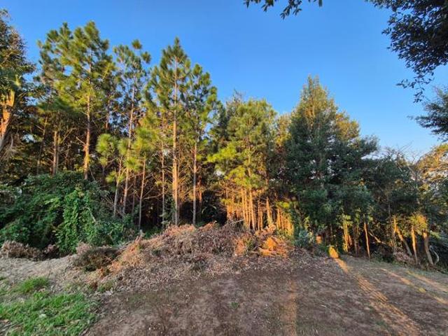 2 225 m² Land available in Southbroom