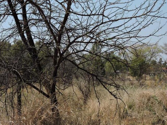 2 231 m² Land available in Swartruggens