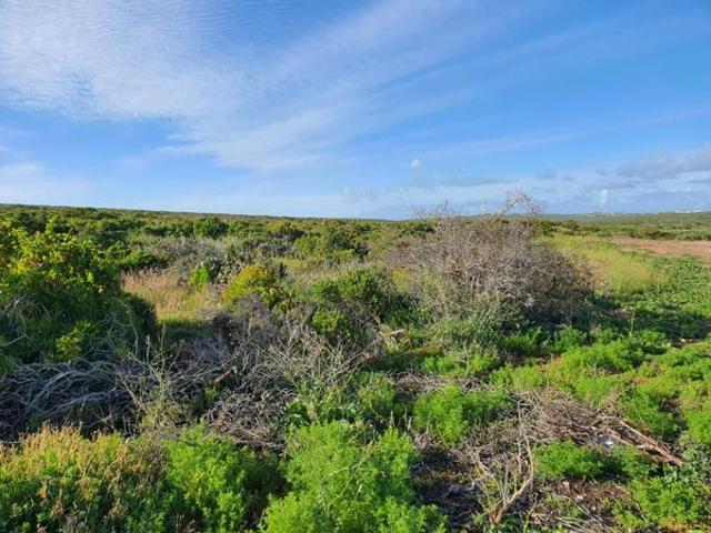 2.2 ha Land available in Jacobs Bay