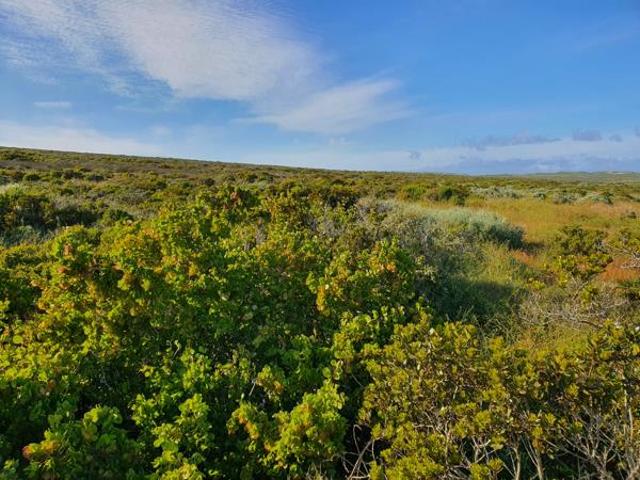 2.2 ha Land available in Jacobs Bay