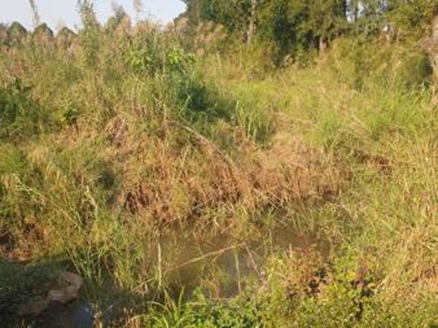 2.2 ha Land available in White River