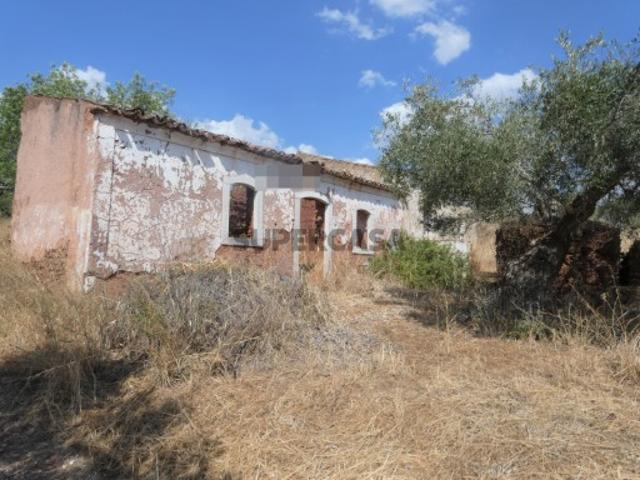 2,2 Hectares: Ruína com terreno em São Bartolomeu de Messines