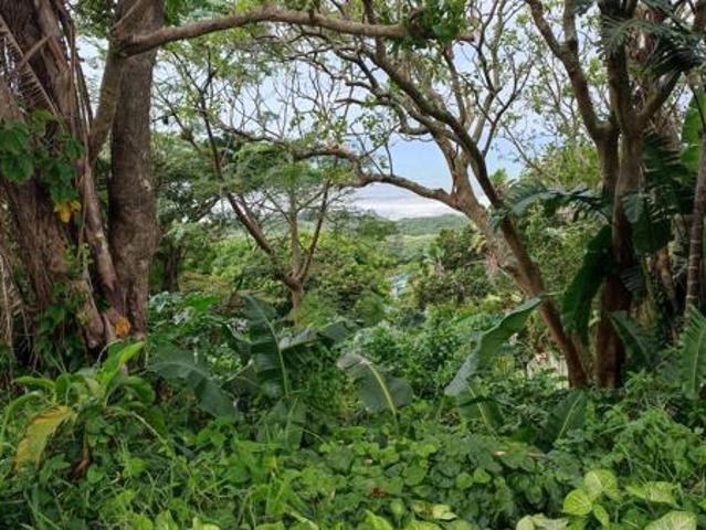 2 342 m² Land available in Oslo Beach
