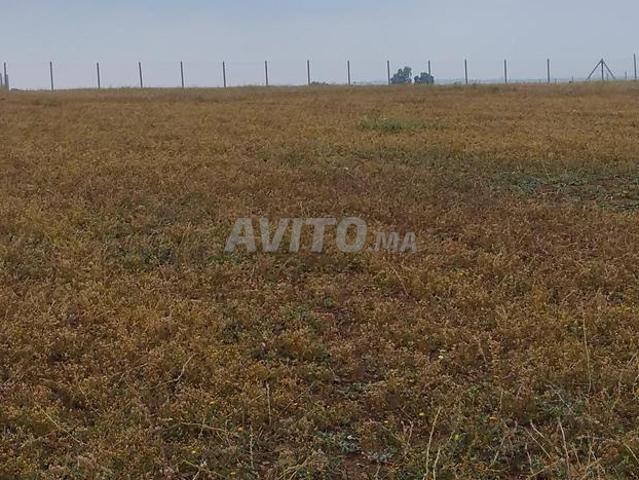 2 350 hectares sur la route entre Tahnaout et Ourika, El Akrab