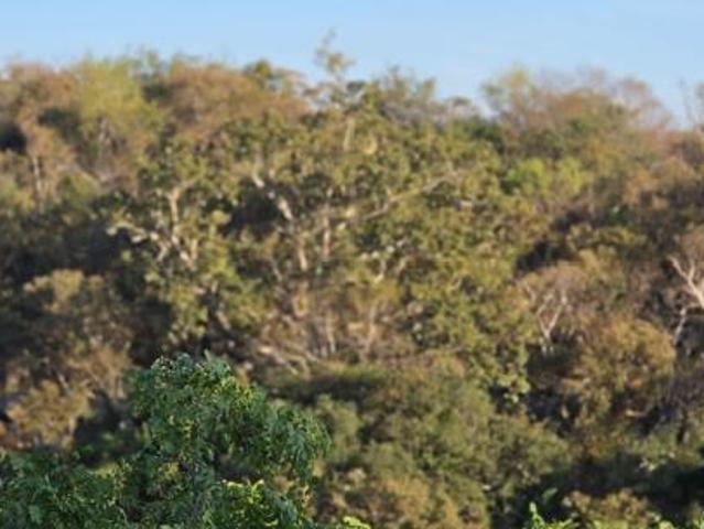 2 351 m² Land available in Verloren Estate