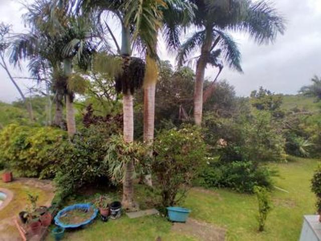 2.35 ha smallholding on the market i.