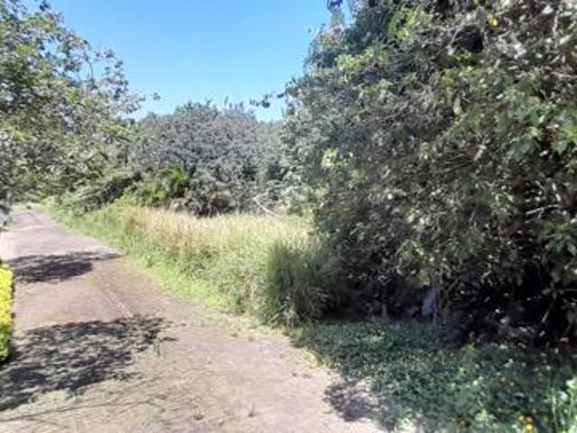 2 364 m² Land available in Southbroom