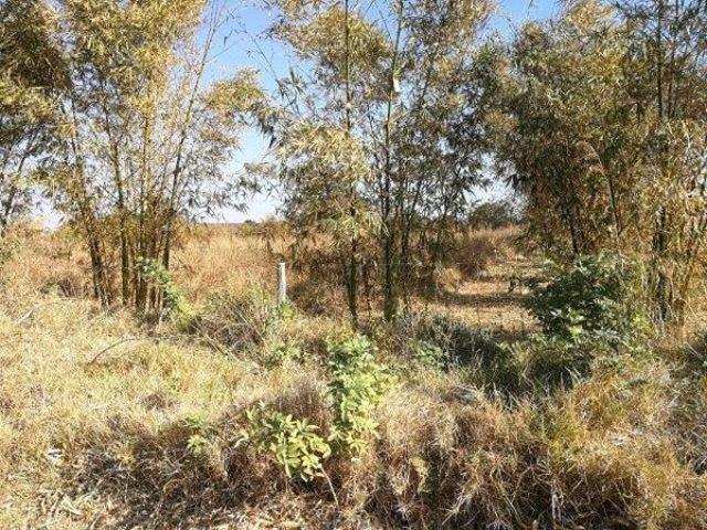 2 368 m² Land available in Banners Rest