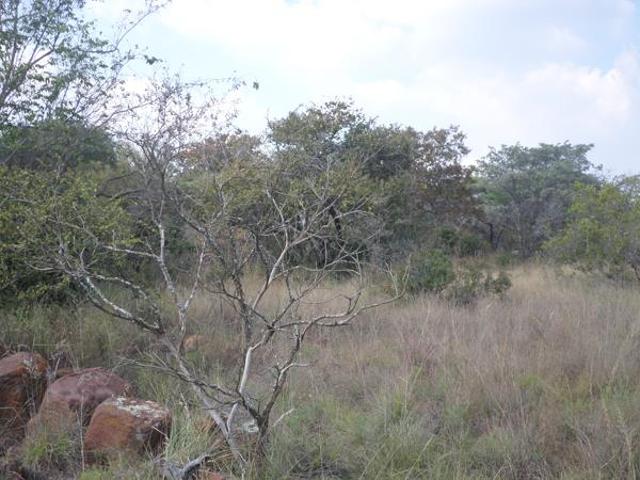 2 377 m² Land available in Modimolle Nylstroom
