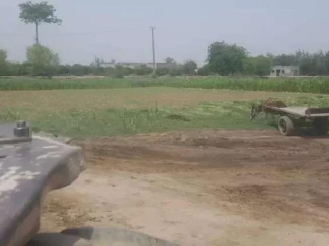 2, 3 acre zameen for control shad. Sargodha ID 65106