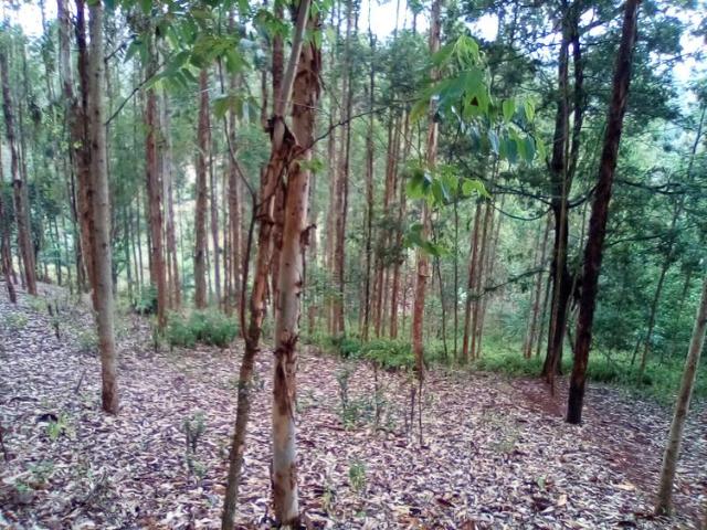 2.3 Acres of Land in Upper Matasia Ngong