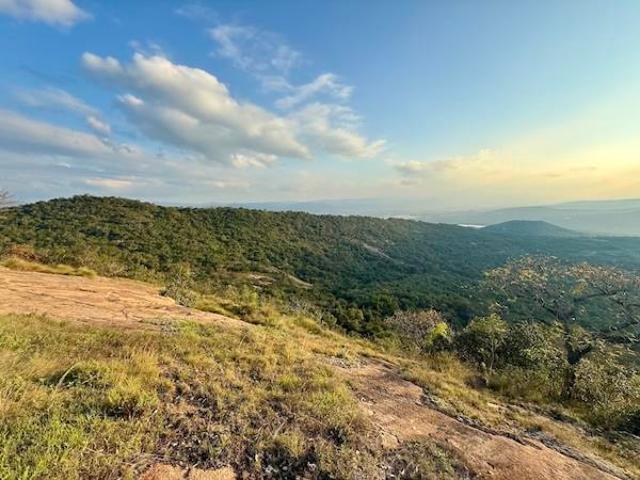 2.3 ha Land available in Likweti Bushveld Farm Estate