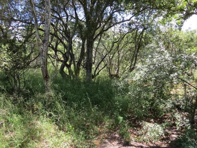 2.3 ha Land available in Modimolle Nylstroom