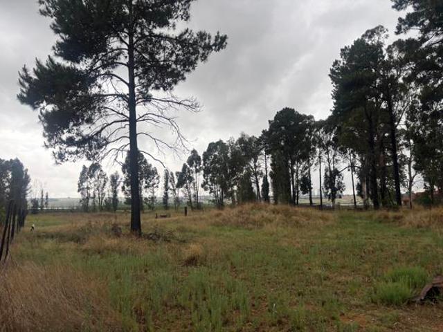 2.3 ha Land available in Naauwpoort