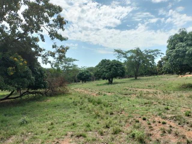 2.3 ha Land available in Tzaneen