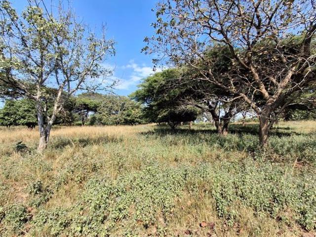 2.3 ha Land available in Tzaneen