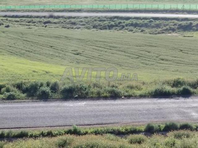 2.3 ha sur la route à Benslimane Zayda