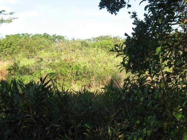 2 448 m² Land available in Southbroom