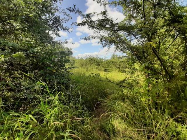 2 464 m² Land available in Gravelotte