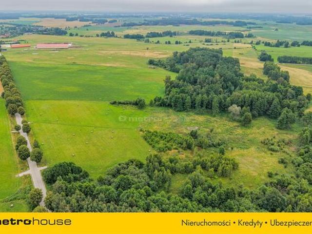 2,47 ha z WZ na 5 domów obok Ełku
