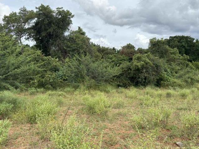 2 400 m² Land available in Elephant Rock Eco Estate
