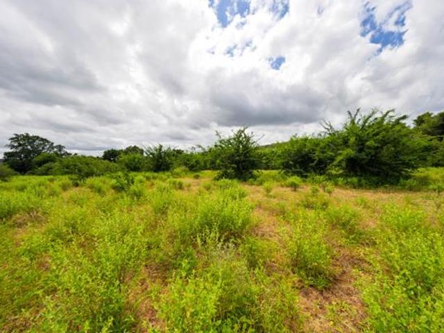 2 400 m² Land available in Elephant Rock Eco Estate