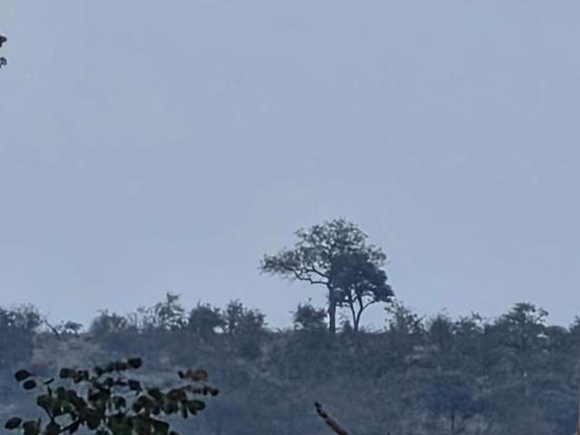 2 400 m² Land available in Elephant Rock Eco Estate