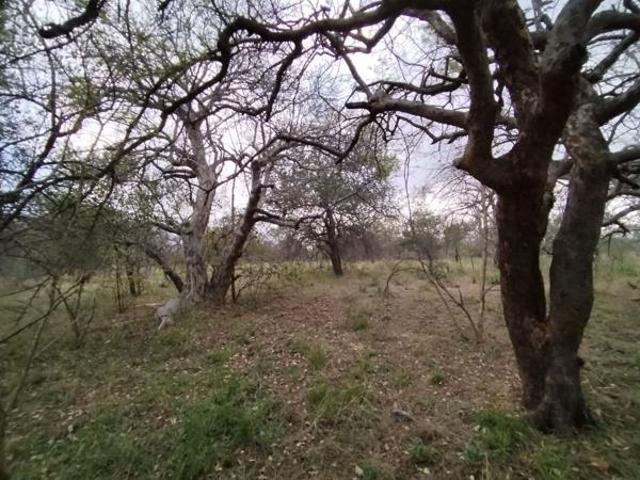 2 400 m² Land available in Elephants Rock Eco Estate